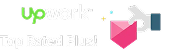 Upwork Top Rated Plus